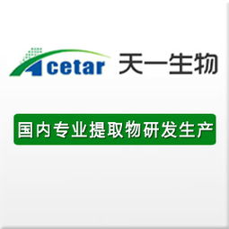 企業互聯新橋梁 黃頁、名錄與八方資源網的協同效應